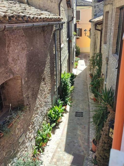 شقة Pink House Fara in Sabina المظهر الخارجي الصورة
